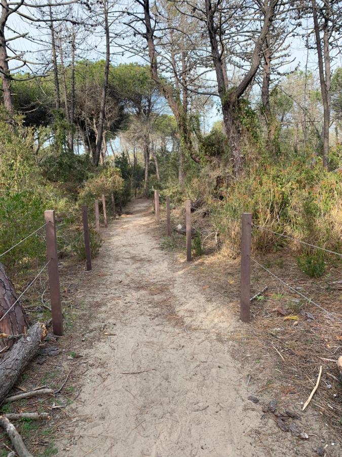 Residenza L'Ulivo Villa Alberese Dış mekan fotoğraf
